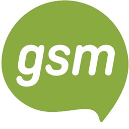 gsm GmbH Mobiler Sozialpädagoge und Springer (m/w/d) für Sachsen und Sachsen-Anhalt