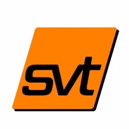 svt Holding Allrounder als Einsatzleiter Schadensanierung (m/w/d)