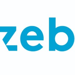 zeb consulting 